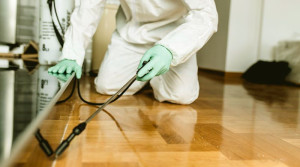 Professional Pest Control Service